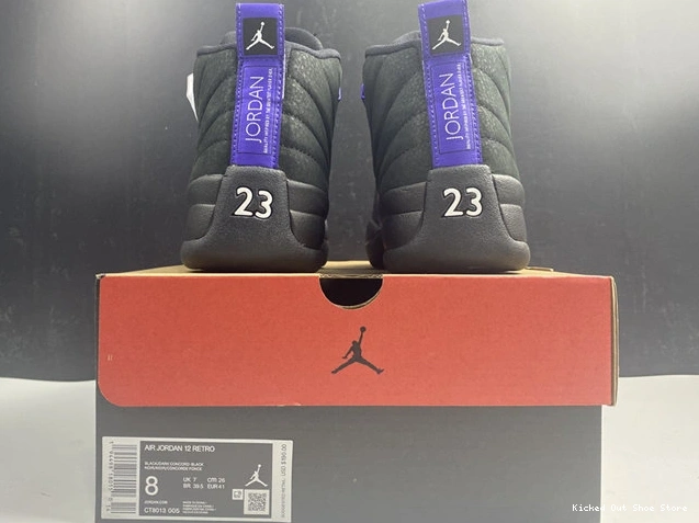 Kicked Out Shoe Store Dark Concord 12 CT8013- Black 4151 Retro Unique Jordan 1013